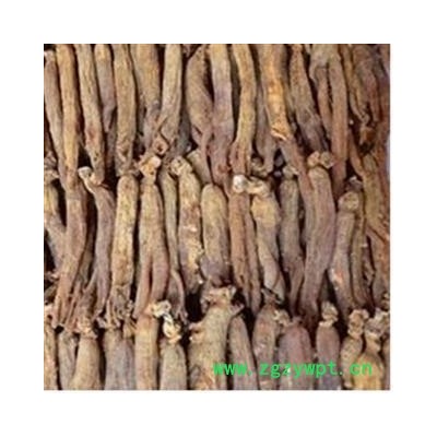 红参 红参有糖80支以上 产地 北京市