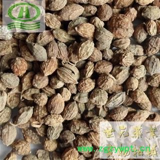 世元药业 益智仁 正品 益智子 摘艼子 各种调料批发零售图2