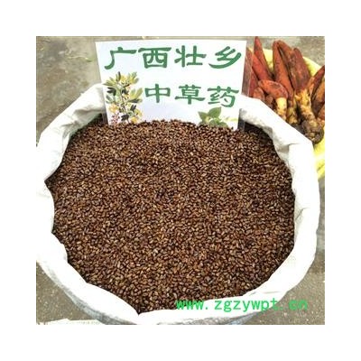 广西壮乡中草药 野生 货色漂亮 无杂质 草决明 决明子 产地 广西柳州