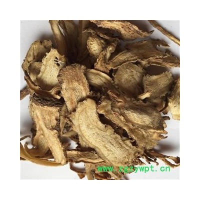 当归 全当归 无硫一棵树 产地 甘肃省