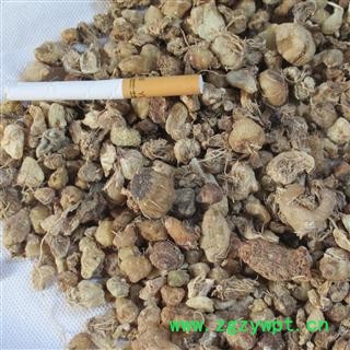 山慈菇 山慈菇 无硫统货 今年新货 无杂质 金果榄统货 产地 云南省图2