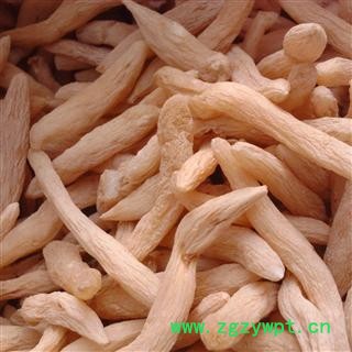 麦冬 麦冬 好统货 地道药材 产地 山东省图2