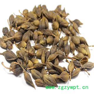 连翘 净货 产地 山东省 振兴中药 产地直销 重在品质图3