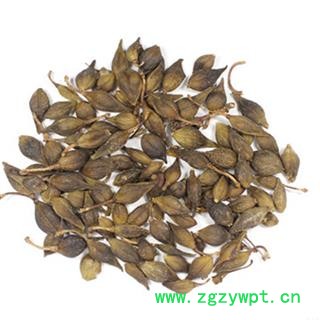 连翘 净货 产地 山东省 振兴中药 产地直销 重在品质图2