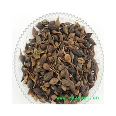 连翘 净货 产地 山东省 振兴中药 产地直销 重在品质