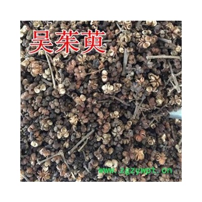 吴茱萸 【振兴药材】吴茱萸大花统货 产地 浙江省
