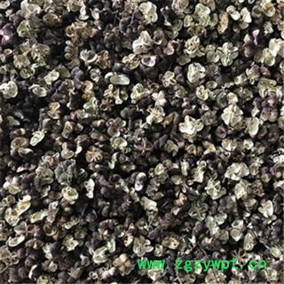 吴茱萸 【振兴药材】吴茱萸大花统货 产地 浙江省图2