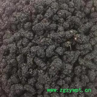 桑椹子 统货 产地 四川省 过药检  【做良心药 道地药材 冷背药材 品种齐全】图2