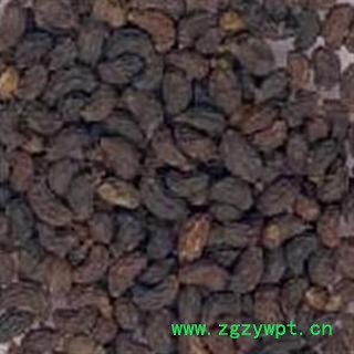 女贞子 统货 产地 四川省 产地直供 支持线上保障交易 安徽省冰源堂药业经营品3000余种中药材【冷背中药材】图2