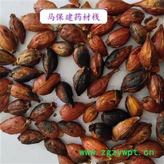 栀子 江西红栀子统个 产地 江西省图2