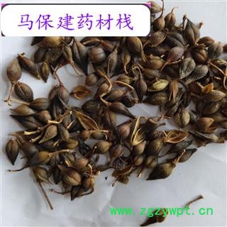 连翘 青翘水煮（汽蒸）统货 产地 山东省图2