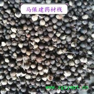 蔓荆子 进口蔓荆子过风车货 产地 海外图2