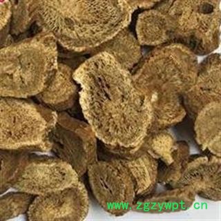 川木香 川木香大选片 产地 四川省图2