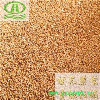 世元药业 柏子仁 新货(廉价品掺染色大米)正品 别称柏实 柏仁 侧柏子图2