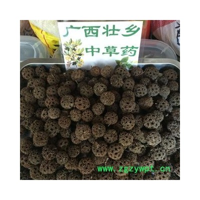 广西壮乡中草药 野生 路路通 枫树果 产地 广西柳州