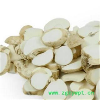 大贝母 大贝母统 产地 浙江省图2