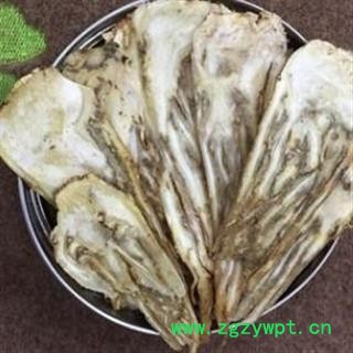 当归 精品选装大片压片当归佛手片 产地 甘肃省图2