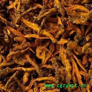 黄连 选装黄连片 产地 四川省图2