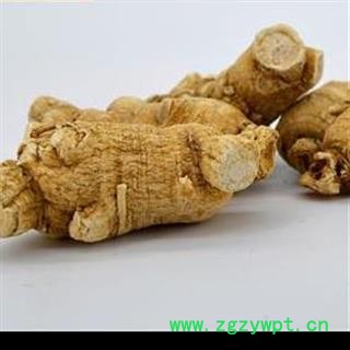 西洋参 西洋参粒头20-30g 产地 吉林省图3