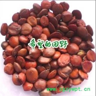 进口酸枣仁1000克