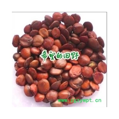 进口酸枣仁1000克