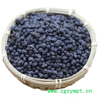 女贞子 女贞子圆果净货 产地 陕西省秦岭山区