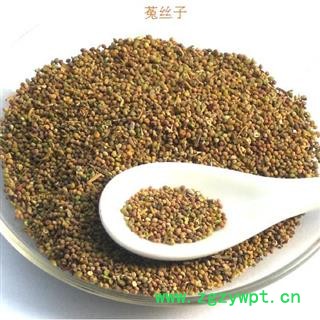 菟丝子1000克图3