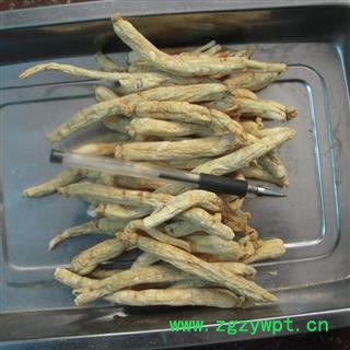 白参 白棒参 生晒参50支 无参须 每支7-8克左右 长支  产地 吉林省图3