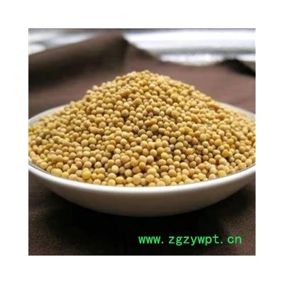 白芥子 统货 产地 吉林省