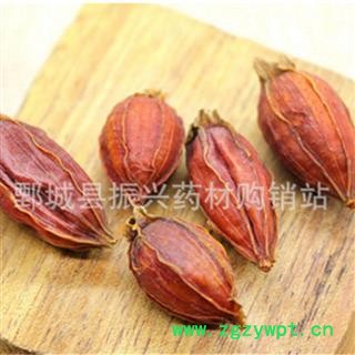 【振兴中药】中药材批发供应【栀子】图2