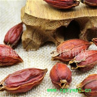 【振兴中药】中药材批发供应【栀子】图3