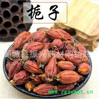 【振兴中药】中药材批发供应【栀子】图4