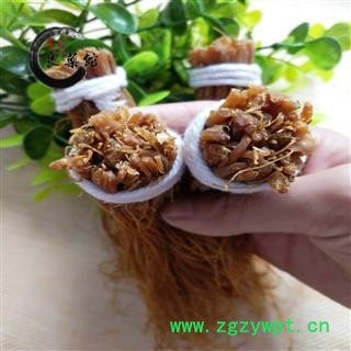 红参须 红参 选装 产地吉林 药典标准 地道良药馆1000克直销图4