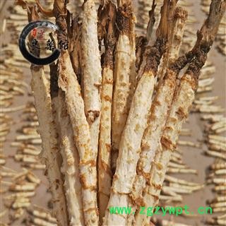 北沙参 沙参中条 产地 河北省符合药典标准 地道良药馆1000克直销图4