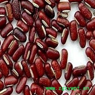 赤小豆 统货 产地 山东 正品 包含量 本店经营品3000余种中药材冷背中药材【安徽省冰源堂药业】图2