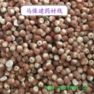 芡实 选装芡实个 颗粒饱满 产地 广东省图2