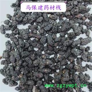桑葚子 桑椹净货 产地 山东省图2