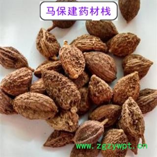 砂仁 阳春壳砂仁炕干选货 产地 广东省图2