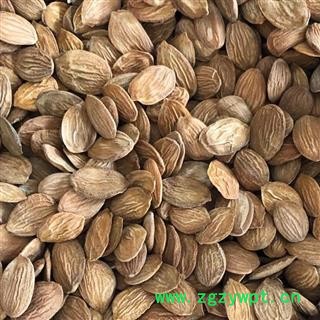 桃仁 选货 新货 纯干货 产地 山西省晋中市灵石县 娟子中药行 买好药找娟子图2