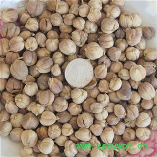 豆蔻 白豆蔻选货 产地 广西壮族自治区 买好药材找娟子 专业批发图3