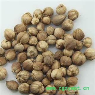 豆蔻 白豆蔻选货 产地 广西壮族自治区 买好药材找娟子 专业批发图2