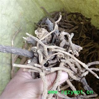 墓头回 新品促销全野生精选无土无杂大切片小切段 产地 河南省平顶山市汝州市图2