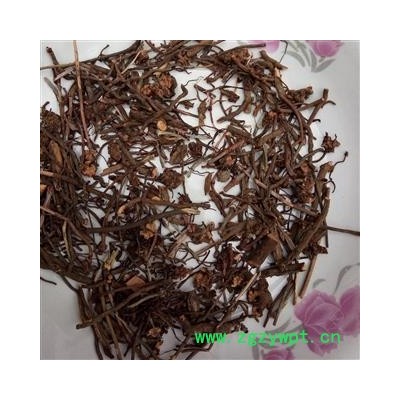 茜草 野生豫统 产地 河南省平顶山市汝州市