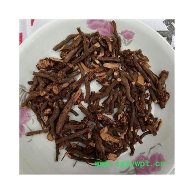 茜草 野生选货 产地 河南省平顶山市汝州市