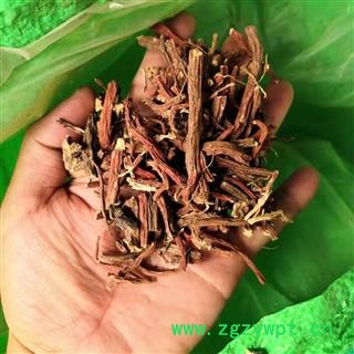 丹参 丹参 产地 河南省平顶山市汝州市图3