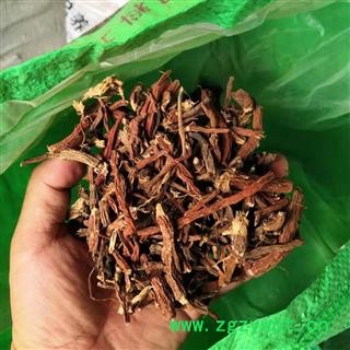 丹参 丹参 产地 河南省平顶山市汝州市图2