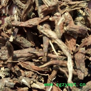 丹参 丹参中统段0.4 产地 河南省平顶山市汝州市图4