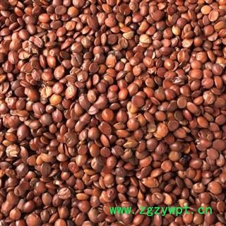 酸枣仁 酸枣仁98货 优质货 产地 山东省买好药找娟子图3