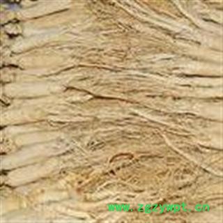 白全须白参盒装 大支头一公斤装图4