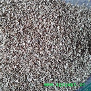 蛇床子 蛇床子净货 产地 河南省图2